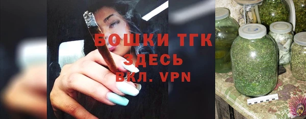 твердый Бородино