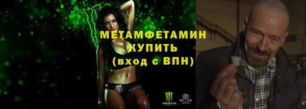 прущие грибы Бронницы