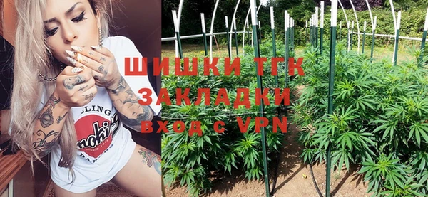 твердый Бородино