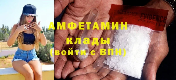 прущие грибы Бронницы