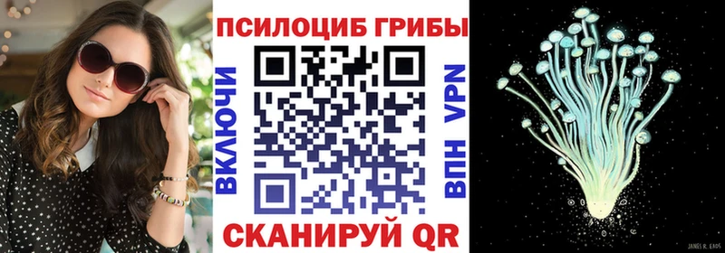 где купить наркоту  Среднеуральск  МЕГА ONION  Псилоцибиновые грибы Psilocybe 